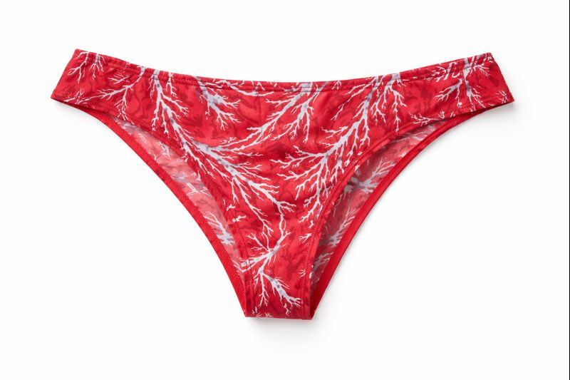 panties Mix colors chantelle