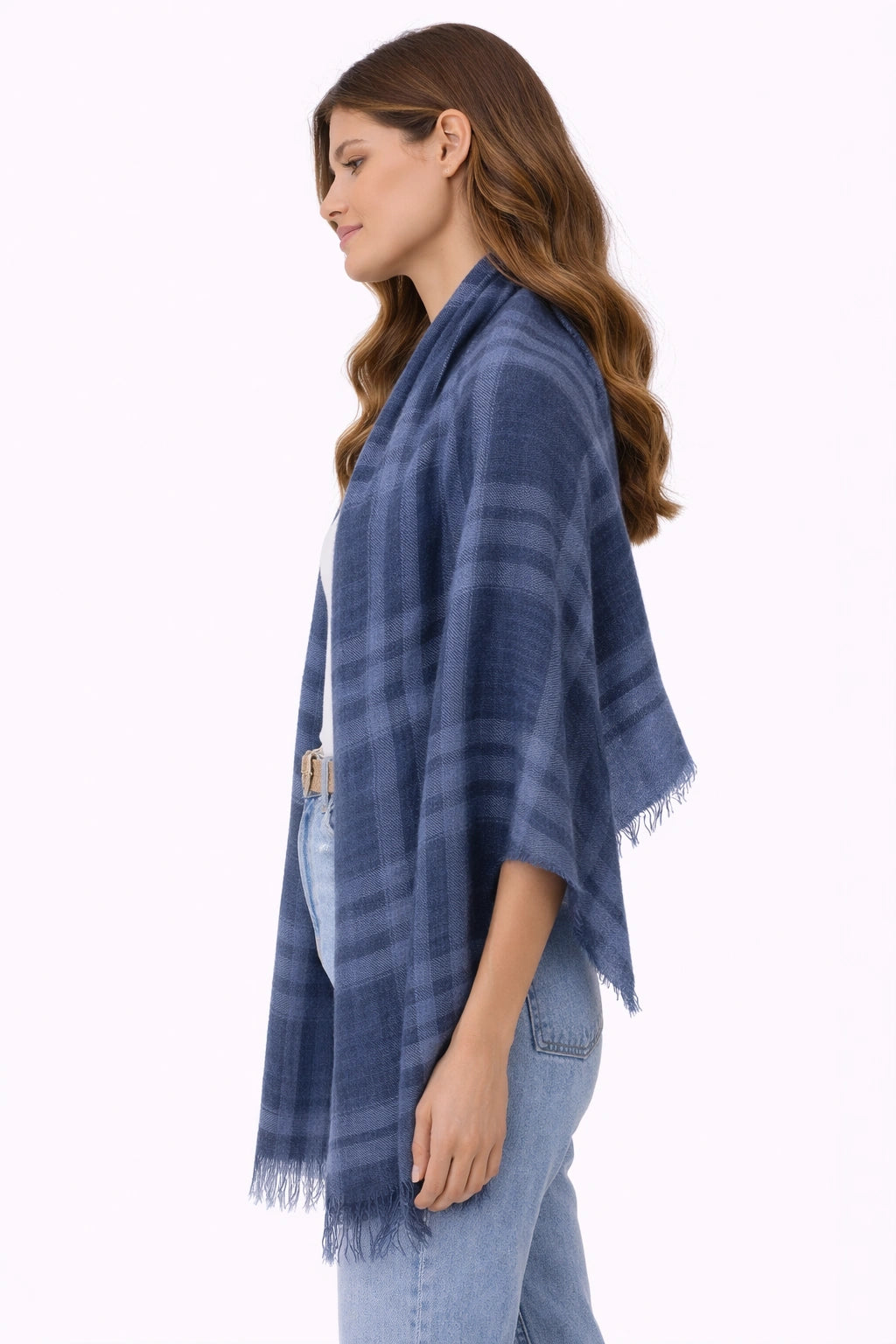 Blue Plaid Shawl (in side)